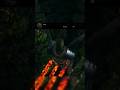 Absolutní bait | Dark Souls | #3