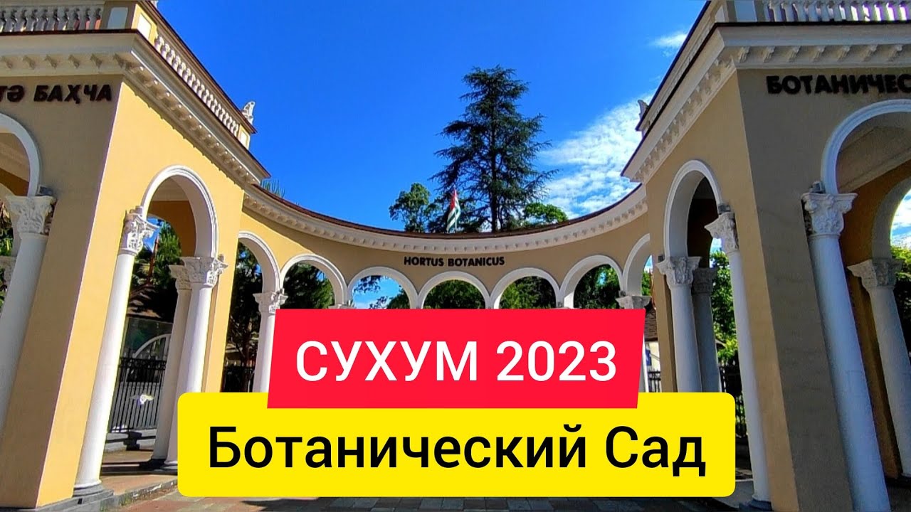 Сухуми в июне. Сухум 2023. Абхазия 2023. Абхазия июнь 2023. Сухум 2023 фото.