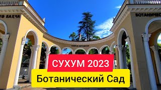 Абхазия 2023 погода в июне.Стоит ли посетить ботанический сад в Сухуме. Сухум 2023.