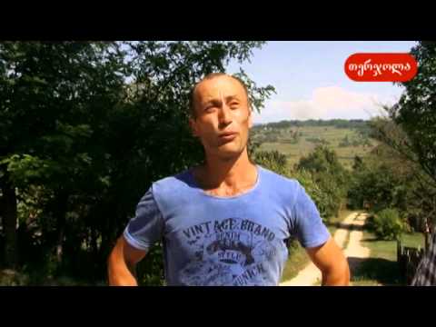 სოფელ ახალთერჯოლაში მგლები გამოჩნდნენ