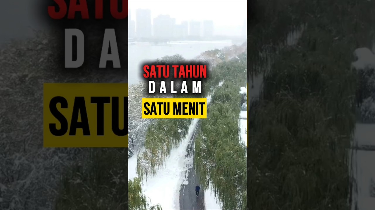 365 Hari dalam 60 Detik: Keajaiban 4 Musim ❄️🌸