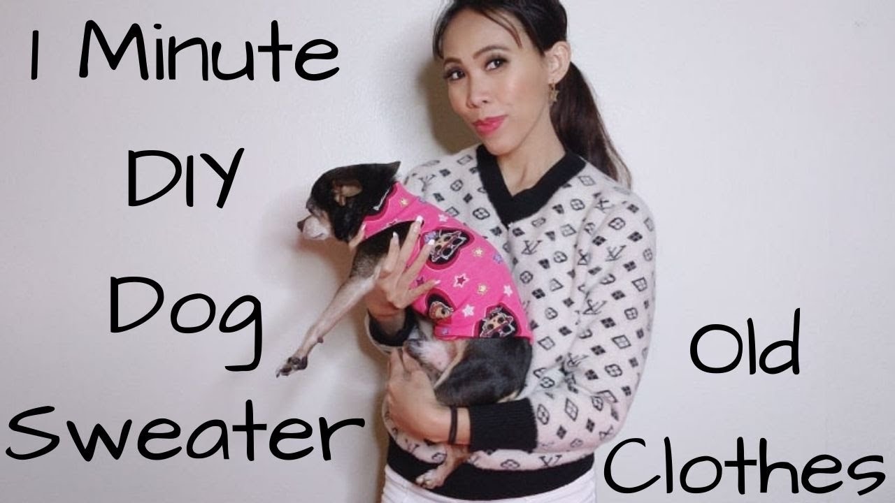 1 Minute/DIY Dog Sweater/No Sew pet dog lovedogs diy sweater 