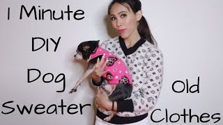 1 Minute/DIY Dog Sweater/No Sew #pet #dog #lovedogs #diy #sweater #crafts