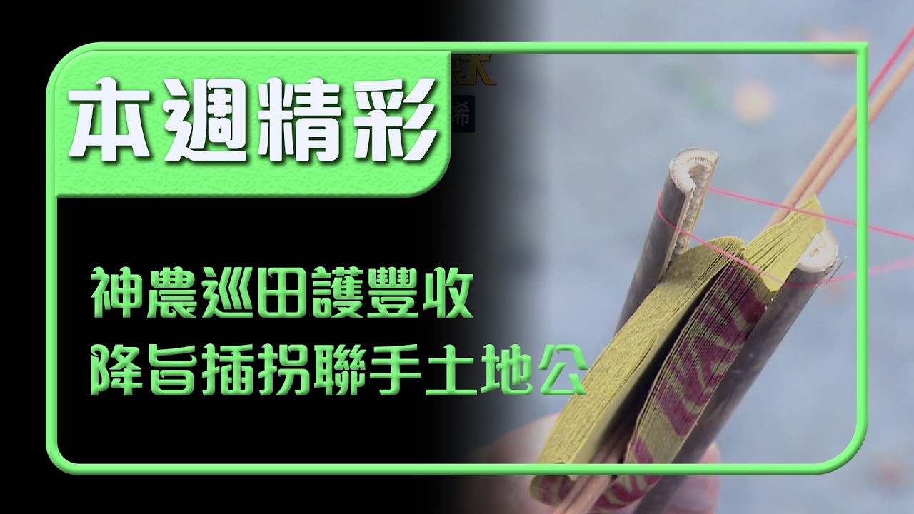 神農大帝巡田護豐收！神明降旨插土地公拐 聯手地方神祇照料農作｜本週精彩｜寶島神很大