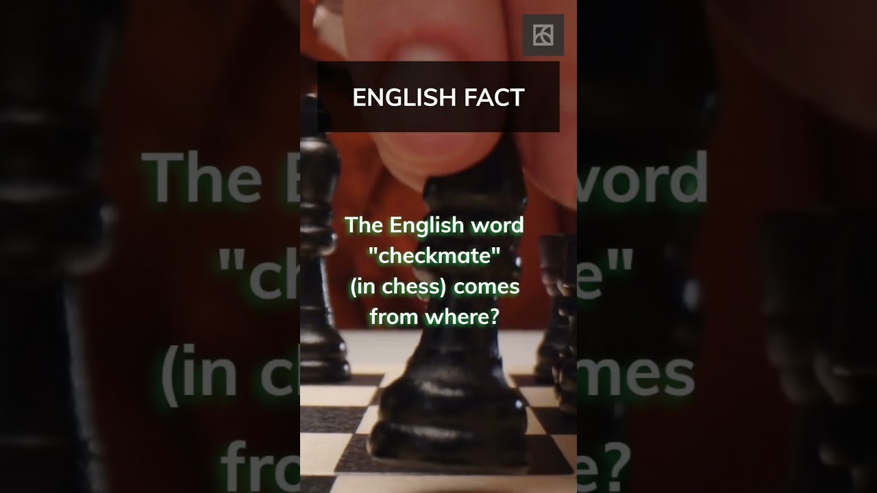 Unbelievable Trivia Unveiled: You NEVER Knew THIS! 