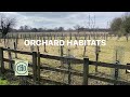 Orchard habitats