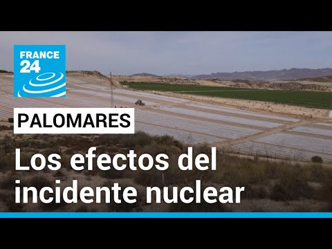 Preocupación ambiental en Palomares a 57 años del incidente nuclear • FRANCE 24 Español