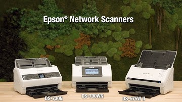 Epson Network Desktop Scanners | Powerful Scanning for Your Business