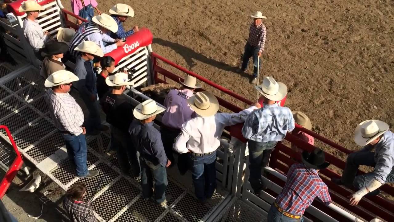 When Bulls Owned The Day At Clovis Rodeo - YouTube