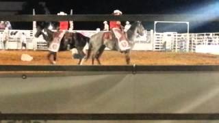 Great Falls, SC Rodeo