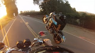 Harley Davidson Wheelies and More 2
