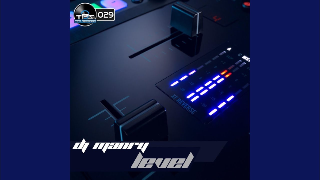 Level (Dj Manry Remix) YouTube