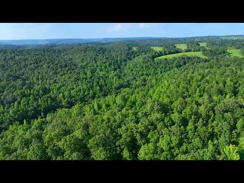 Video Drone WZ36 Narated