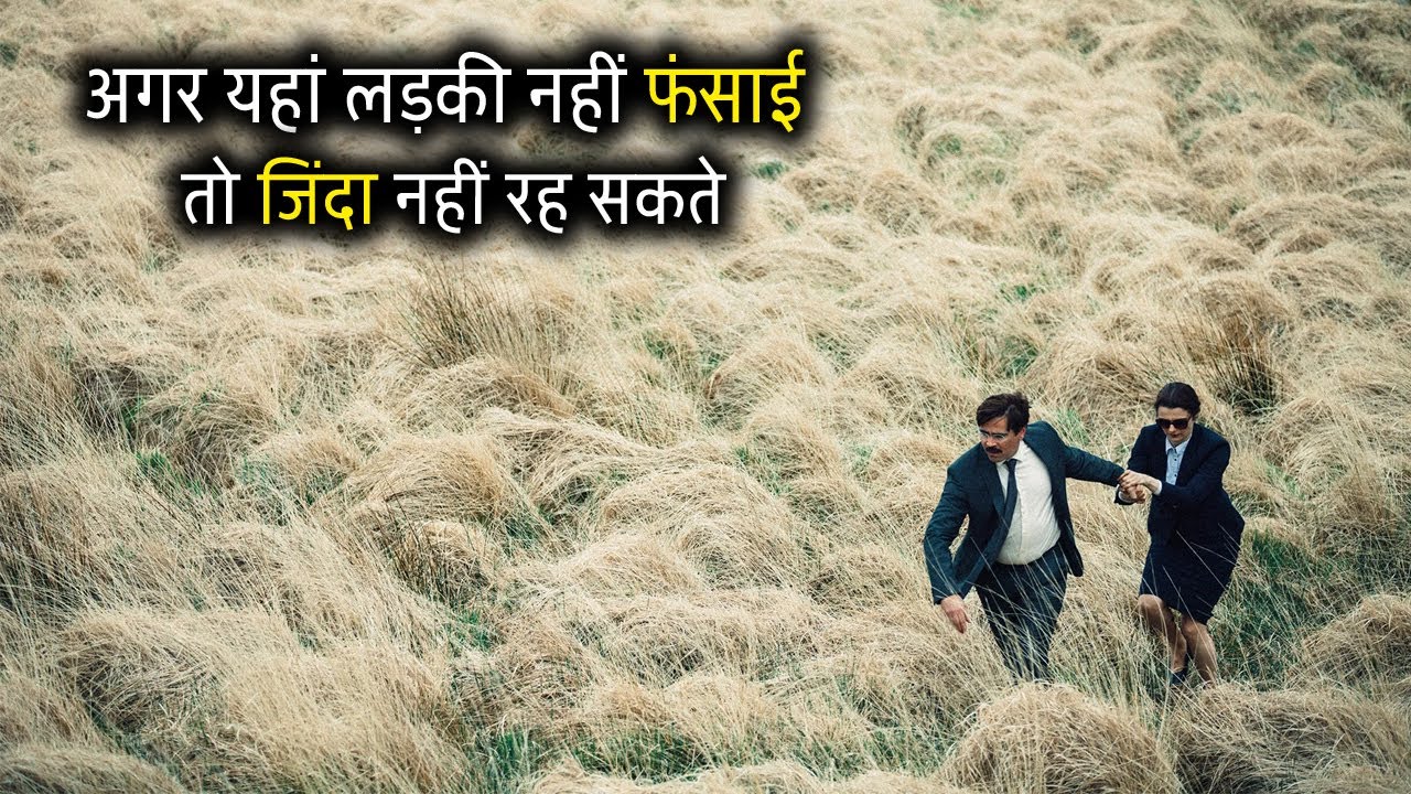 The Lobster Movie Explained In Hindi Vk Movies Explanation in Hindi
