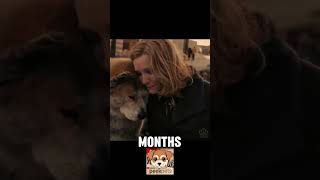 He Waited 9 Years for His Master... (Hachiko) 🐕 #dog #story #shorts