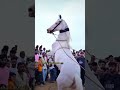 नाचने लगी लिलण #shortvideo #dancemusic #dance