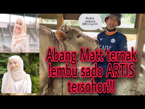 Lembu Charolais Limousine Artis Terkenal RM36 000 
