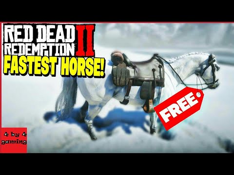 فيديو: أين تجد الحصان؟