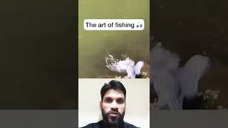 एक पक्षी कैसे मछली पकड़ता है#indian #indian#fishing #bids #shortsfeed