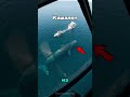😨🌊🦈 ТОП 5 самых БОЛЬШИХ морских СУЩЕСТВ ⁉️