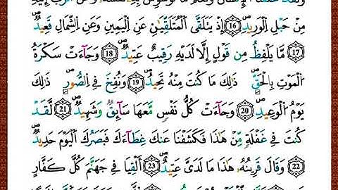 ختمة مصحف التجويد برواية قالون الصفحة رقم 519