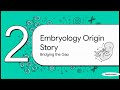 The Human Blueprint (Embryology)