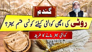 Which Variety of Wheat is better for Bread /Rotti (Chopatti) | Crop Reformer