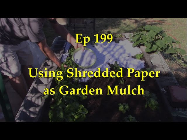 The Journey Of Shredded Paper: Where Does It Go?