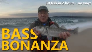 Bass Fishing UK - Crazy session 30 fish in 2 hours