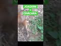 LINK DO VÍDEO COMPLETO  https://youtu.be/G9lIEQmYQCs