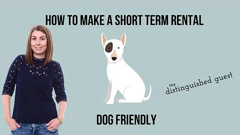 How To Make Your Vacation Rental Dog Friendly