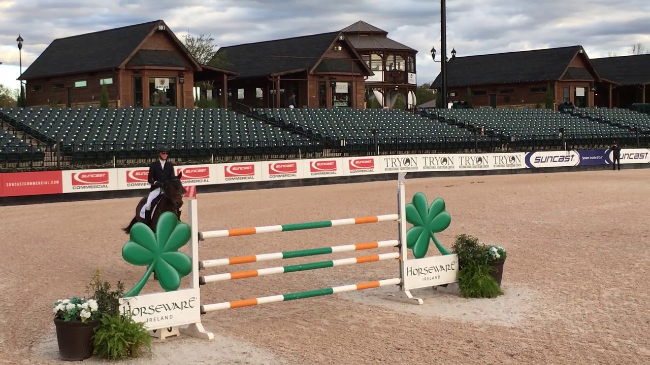 Sterling Equestrian Akatschino (11yo Gelding) YouTube