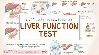 Liver Function Test (LFT) Interpretation Made Easy | ALT, AST, ALP, GGT Explained