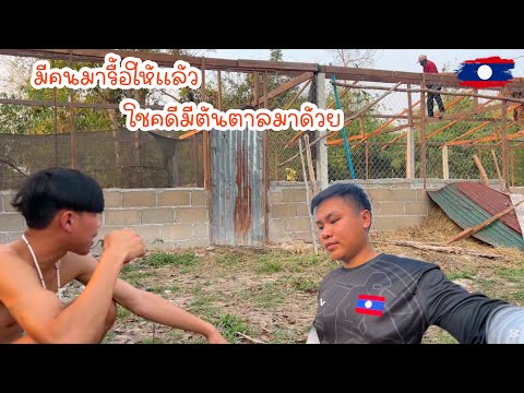 มีคนมารื้อให้แล้วสองวันนี้ต้องได้นอนเฝ้าสวนโชคดีมีต้นตาลมาด้วย|ToiyYoiy