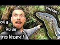 Face au plus gros lezard dasie   viet nam