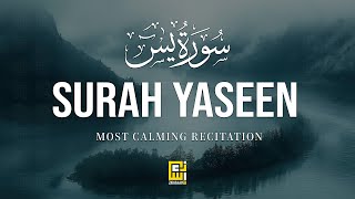 Peaceful Quran Recitation of Surah Yasin (Yaseen) سورة يس | SOFT VOICE | Zadullah TV