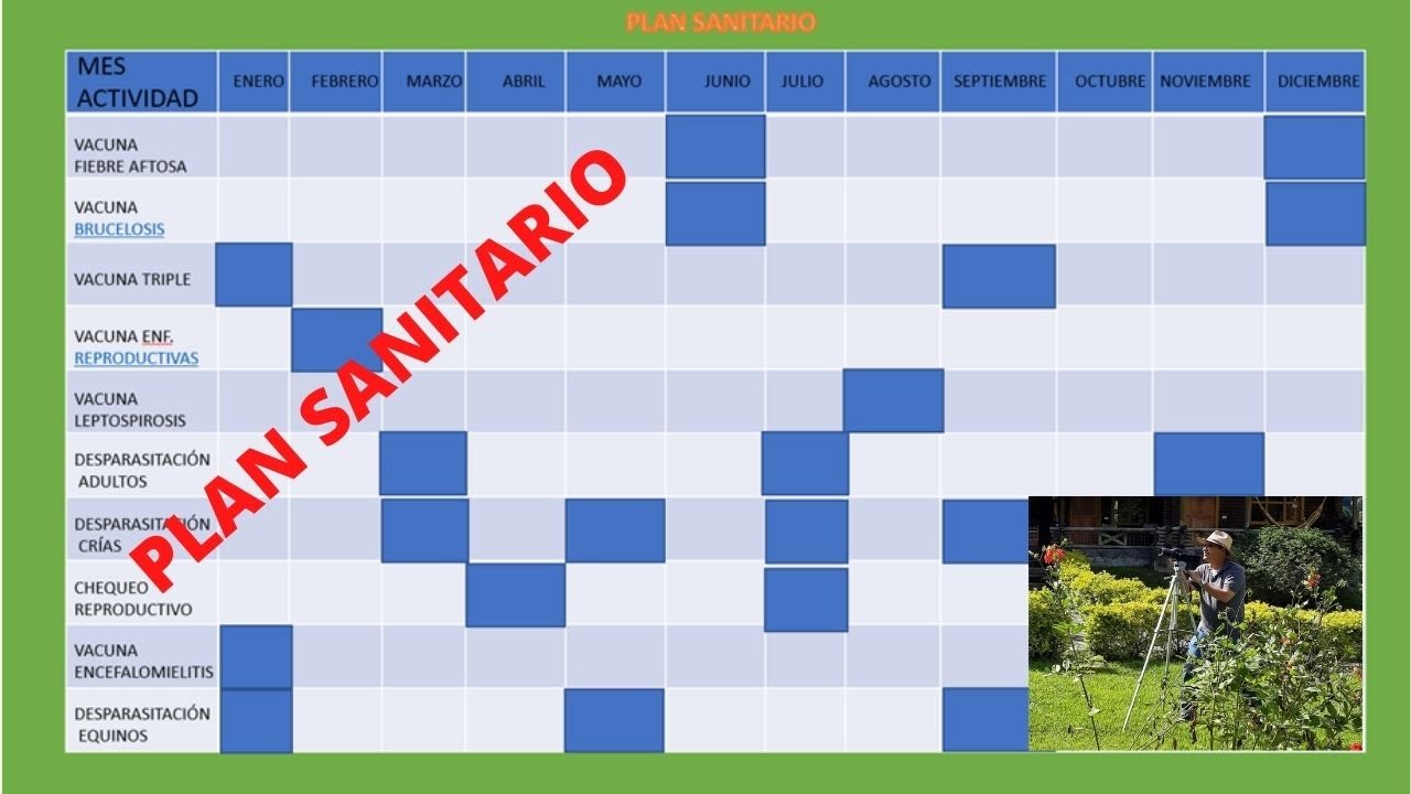 PLAN SANITARIO PARA BOVINOS /HEALTH PLAN FOR CATTLE - YouTube