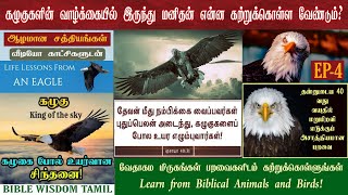 வேதாகமத்தில் பறவைகள் | EP 4 | கழுகு | Eagle in bible Bible Verses About Eagles