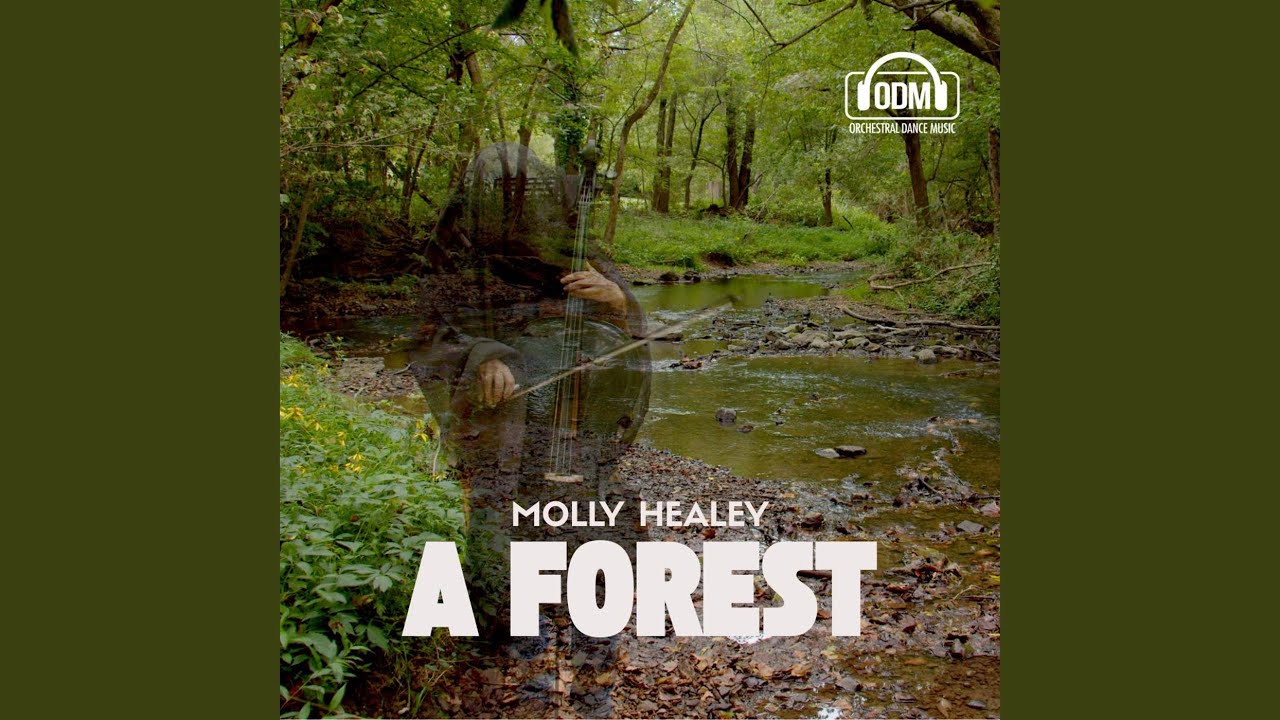 Watch A Forest on YouTube Watch A Forest on YouTube