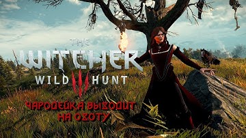 The Witcher 3: Custom Player Characters mod.