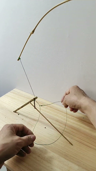 How to make a simple and effective trap to catch wild chickens