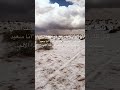لو قلت ليت الأمر لم يبدأ أبد ا لكنت أ سيء إلى تلك الأيام الرائعة ولو قلت أنا سعيد بحدوثه