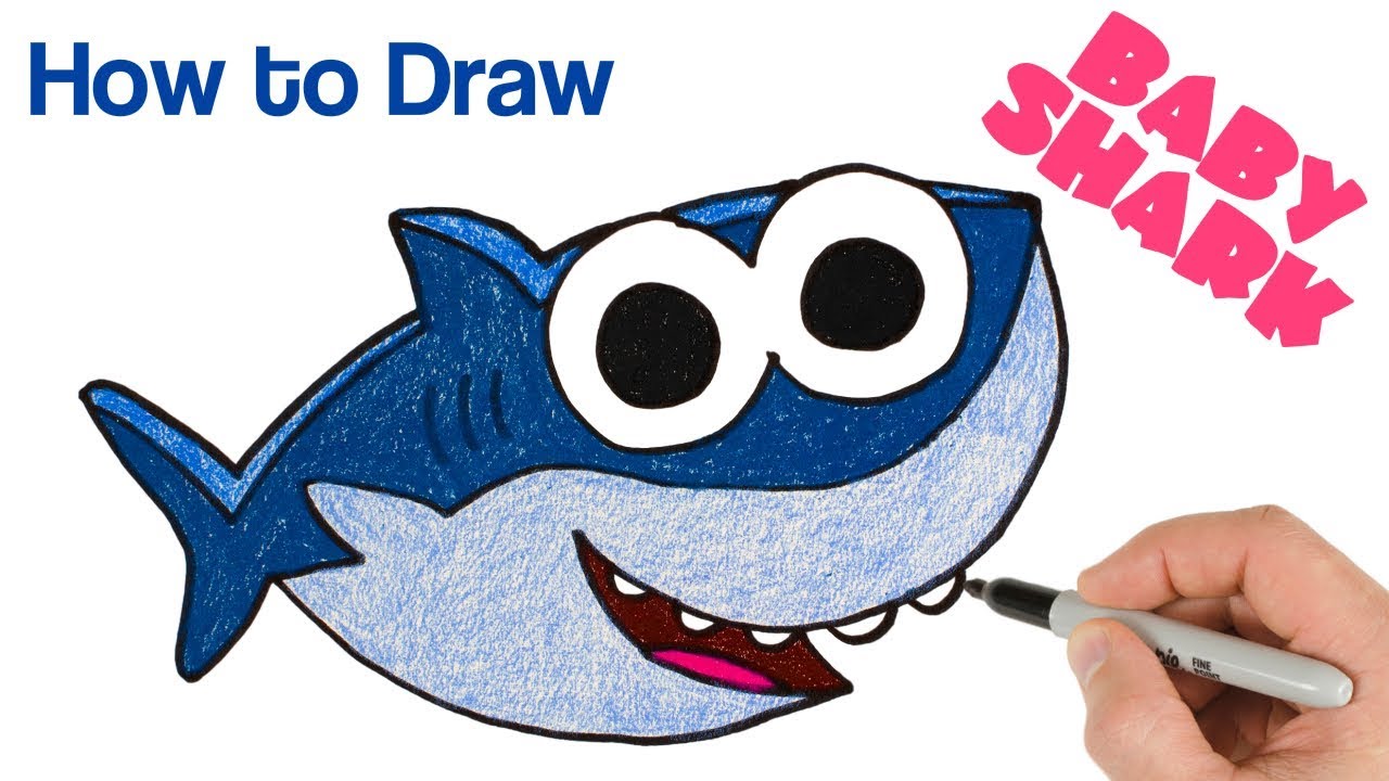 How to Draw Baby Shark | Cartoon Drawing for beginners - YouTube