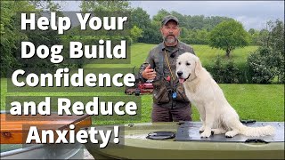 How To Build Confidence \& Reduce Anxiety In Fearful and Anxious Dogs