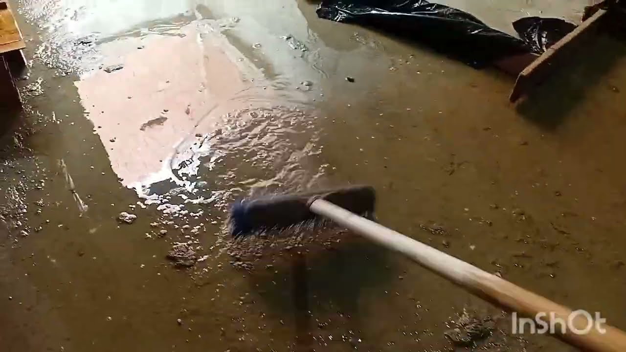 روتين صباحي معمر بالطاقة الاجابية