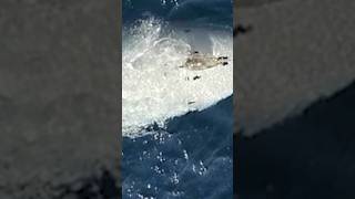 Iran Says It Has Captured A US Navy Undersea Drone In Strait of Hormuz