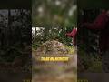 manster in pull #fullmovieexplanation #hindiexplainer #marvel #viralshorts #foryou #hollywoodhindi