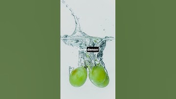 Why Do Apples Float? 🍎 #shorts #facts #factsvideo #factshorts #fact #shortsvideo #viral