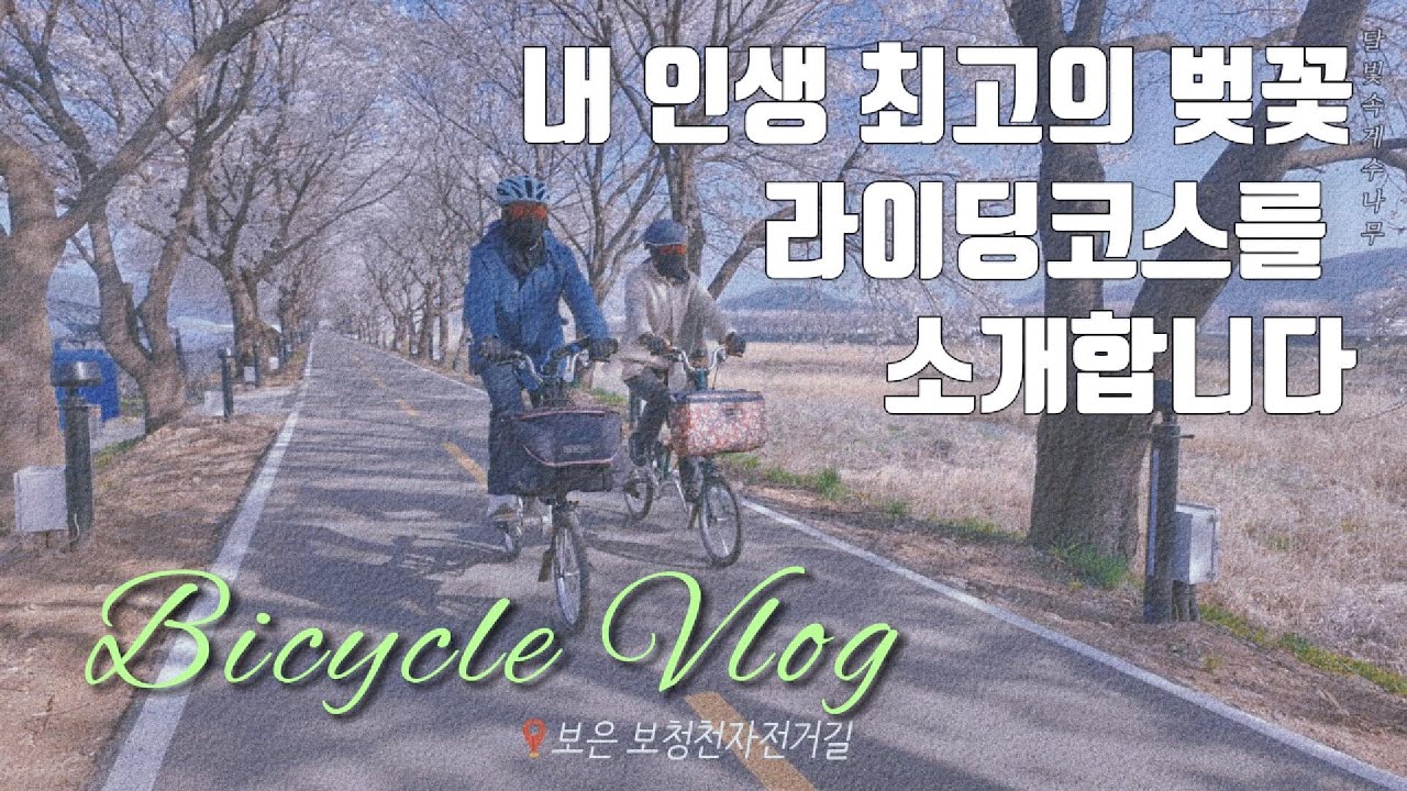 내 인생 최고의 벚꽃 라이딩코스를 소개합니다 #보은군 #보은벚꽃 #보은벚꽃라이딩#Bicycle Vlog#Travel Vlog