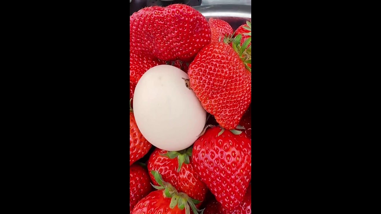 ❤️‍🔥LIVE STREAMING❤️‍🔥